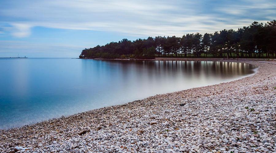 Apartman Ivo Διαμέρισμα Novigrad Istria Εξωτερικό φωτογραφία